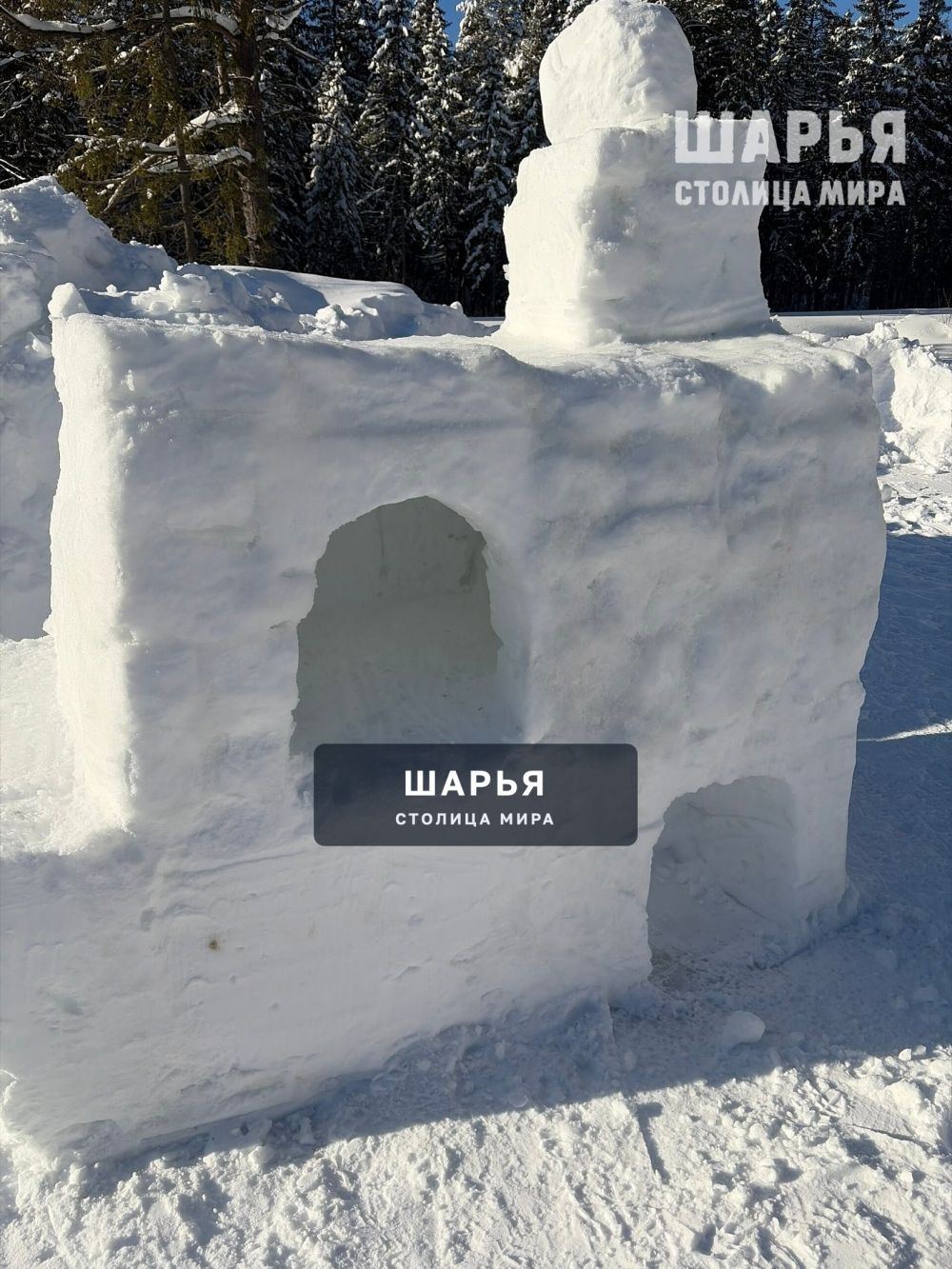 Зима в городском парке — Шарья — фото 2