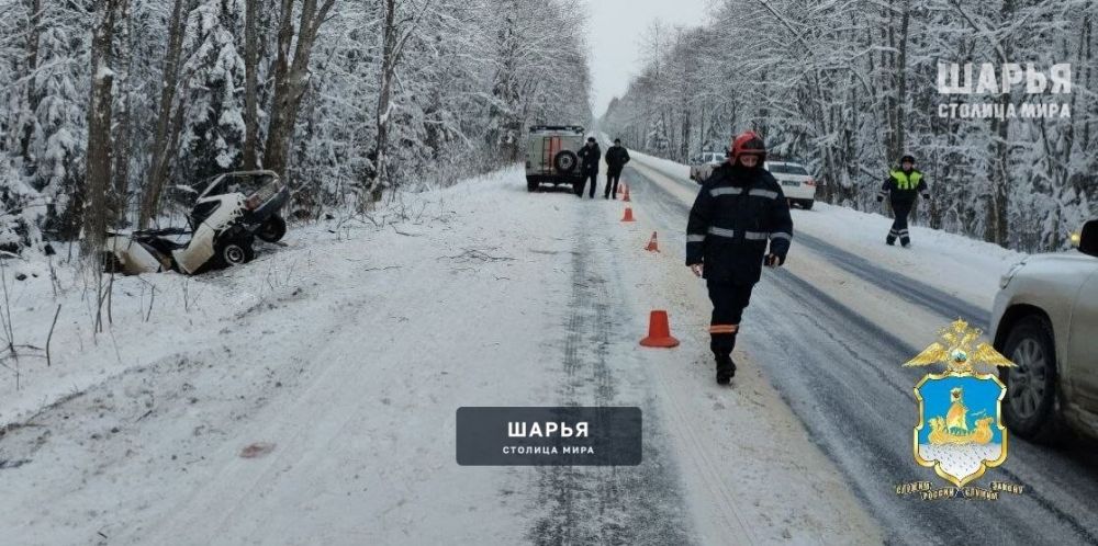Трагедия на костромской трассе унесла жизни двух человек — Шарья