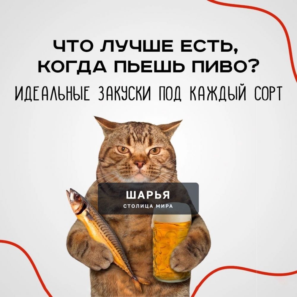 Что лучше есть, когда пьёшь пиво — алкомаркет КБ составил подборку закусок, идеальных под… — Шарья
