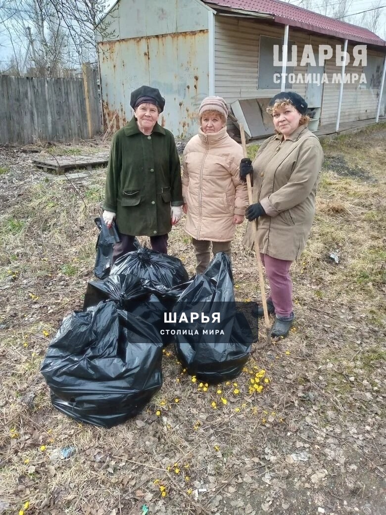 В рамках Всероссийского субботника в Шарье наведен порядок на 30 общественных территориях — Шарья — фото 2