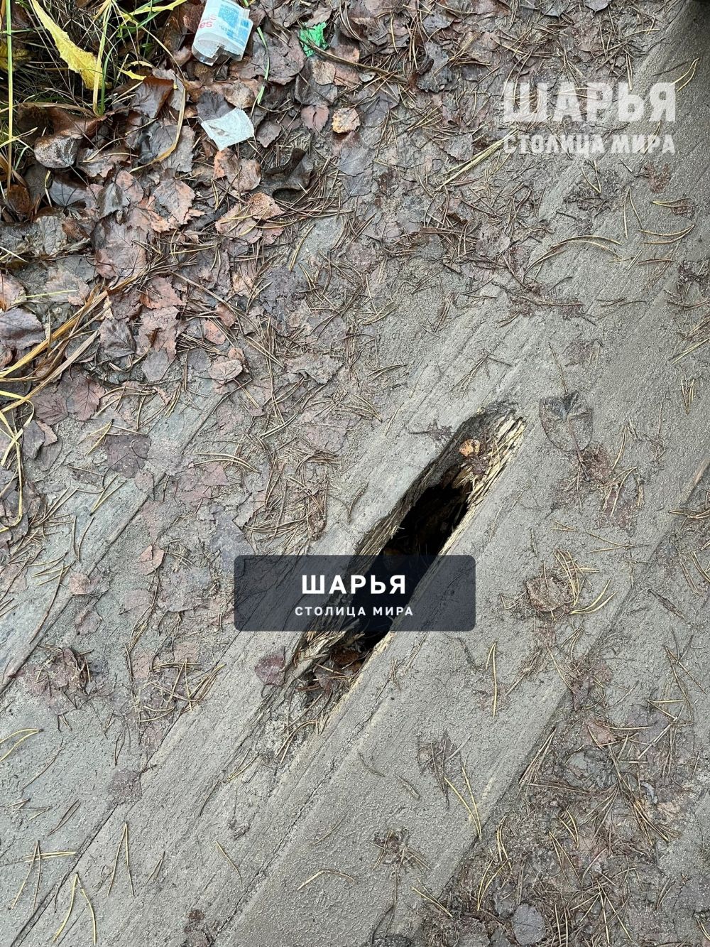 Жители одного из микрорайонов города недовольны состоянием тротуара — Шарья