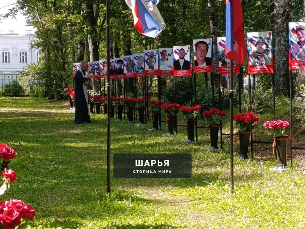 Аллея славы героев, погибших в ходе проведения СВО, вновь пополнилась новыми именами — Шарья — фото 9