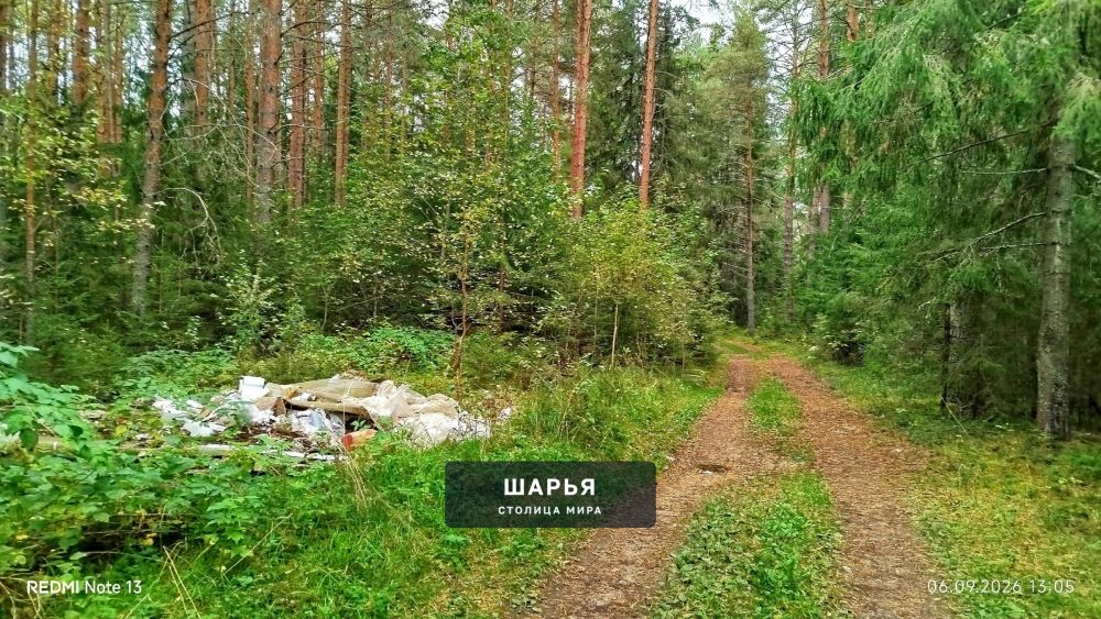 Очередная нычка от двуногих поросят была найдена в лесу — Шарья — фото 3
