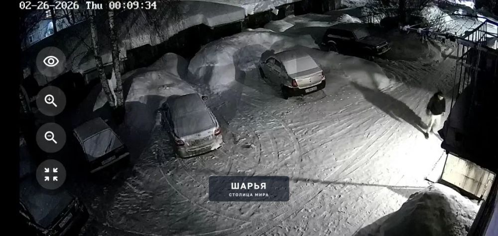 Не уважаемый! Просьба вернуть лопаты на место, где ты их взял — Шарья