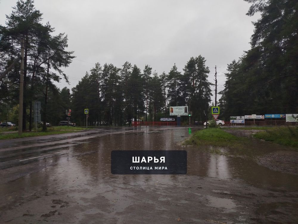 Незаметно подкралась осень и внесла свои коррективы в жизнь города — Шарья — фото 2