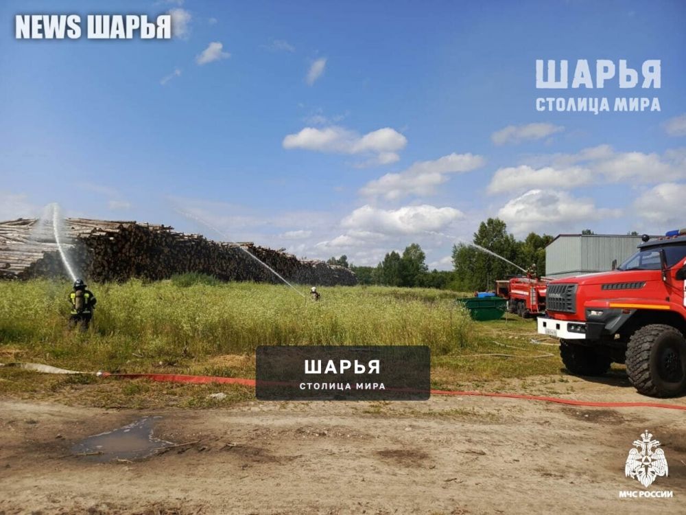 В Шарье на одной из лесопилок загорелся штабель круглого леса — Шарья — фото 6