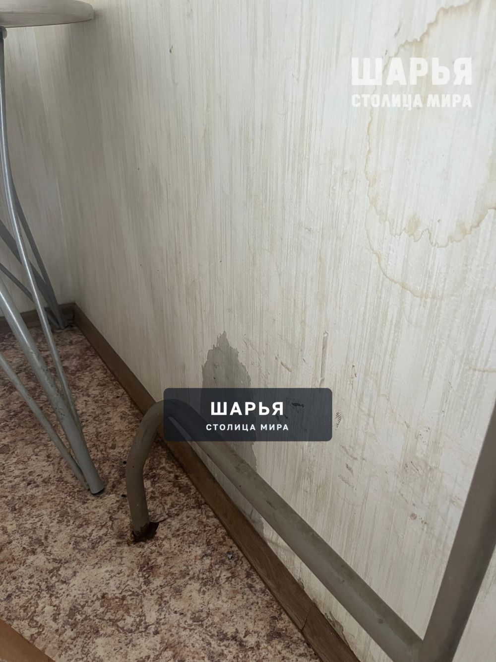 Течет ручей, бежит ручей — Шарья — фото 4