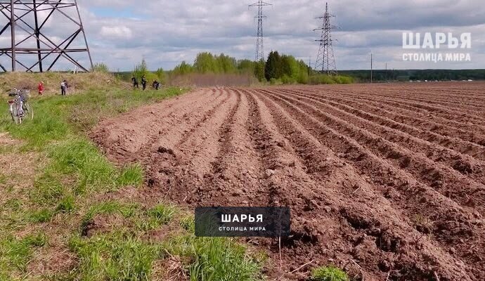 Малоимущим и семьям с невысоким доходом предоставят землю под овощи — Шарья