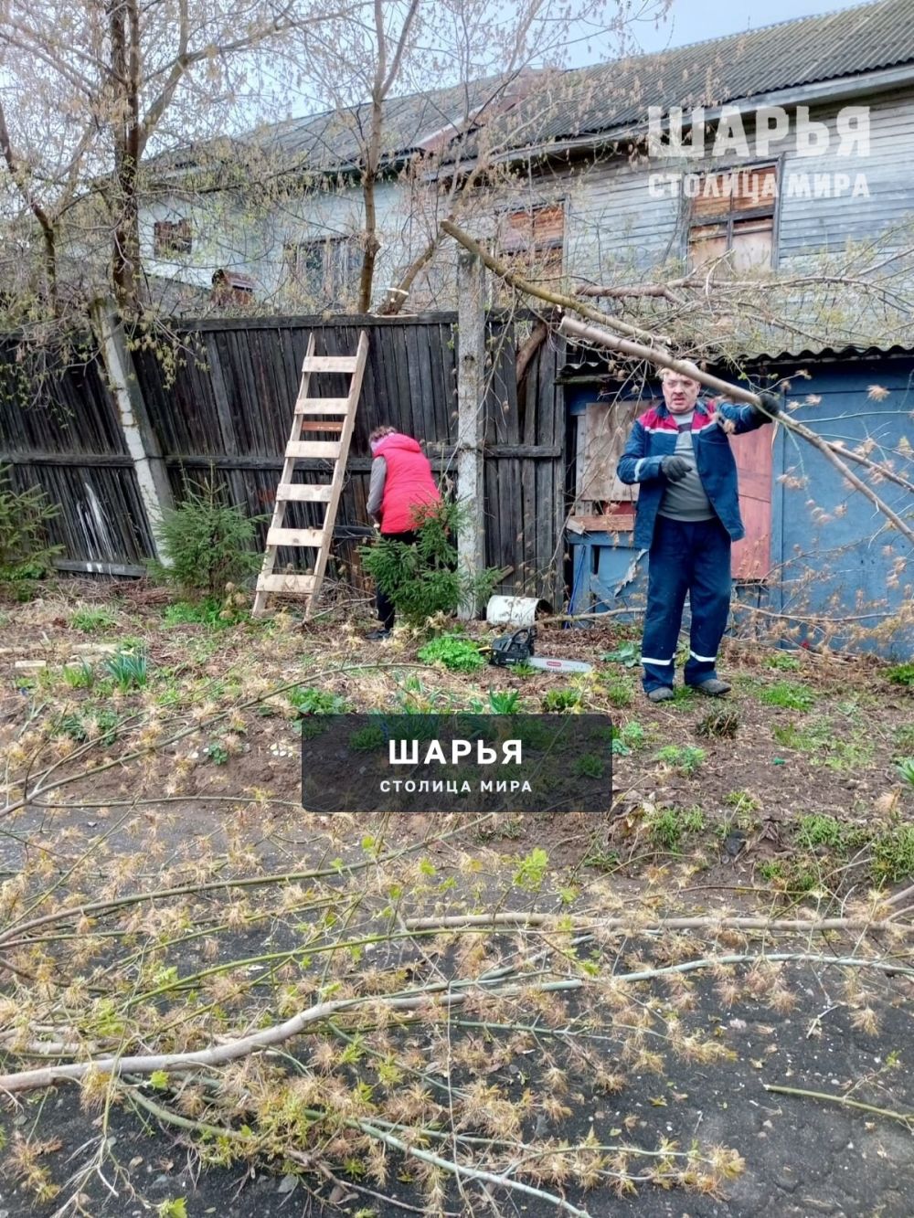 26 апреля коллектив МБУ ДО СШОР г. Шарья приняли участие во "Всероссийском субботнике 2025 " — фото 5