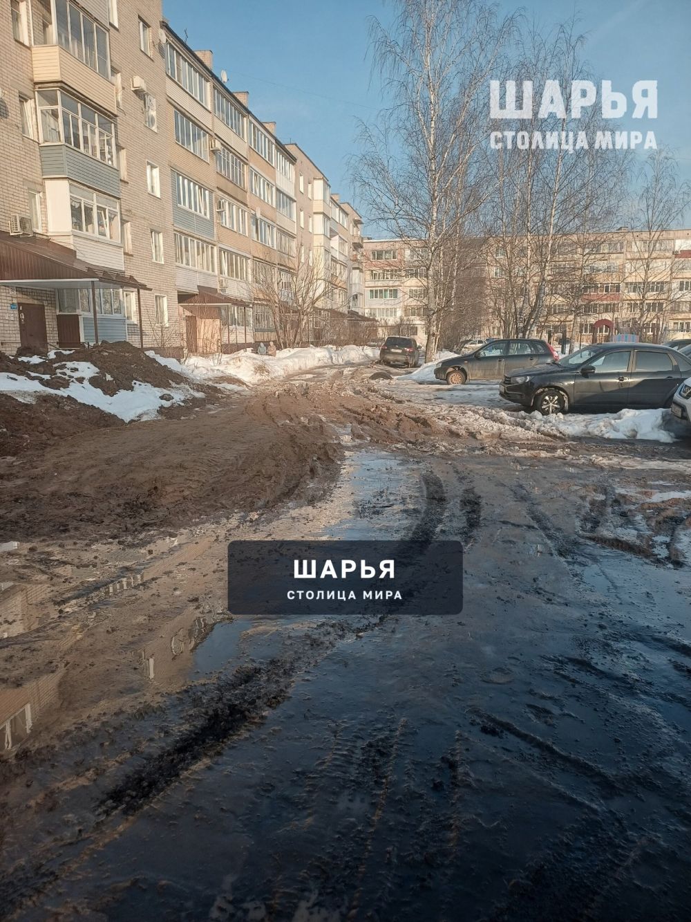 А грязь-то лечебная? — Шарья — фото 2