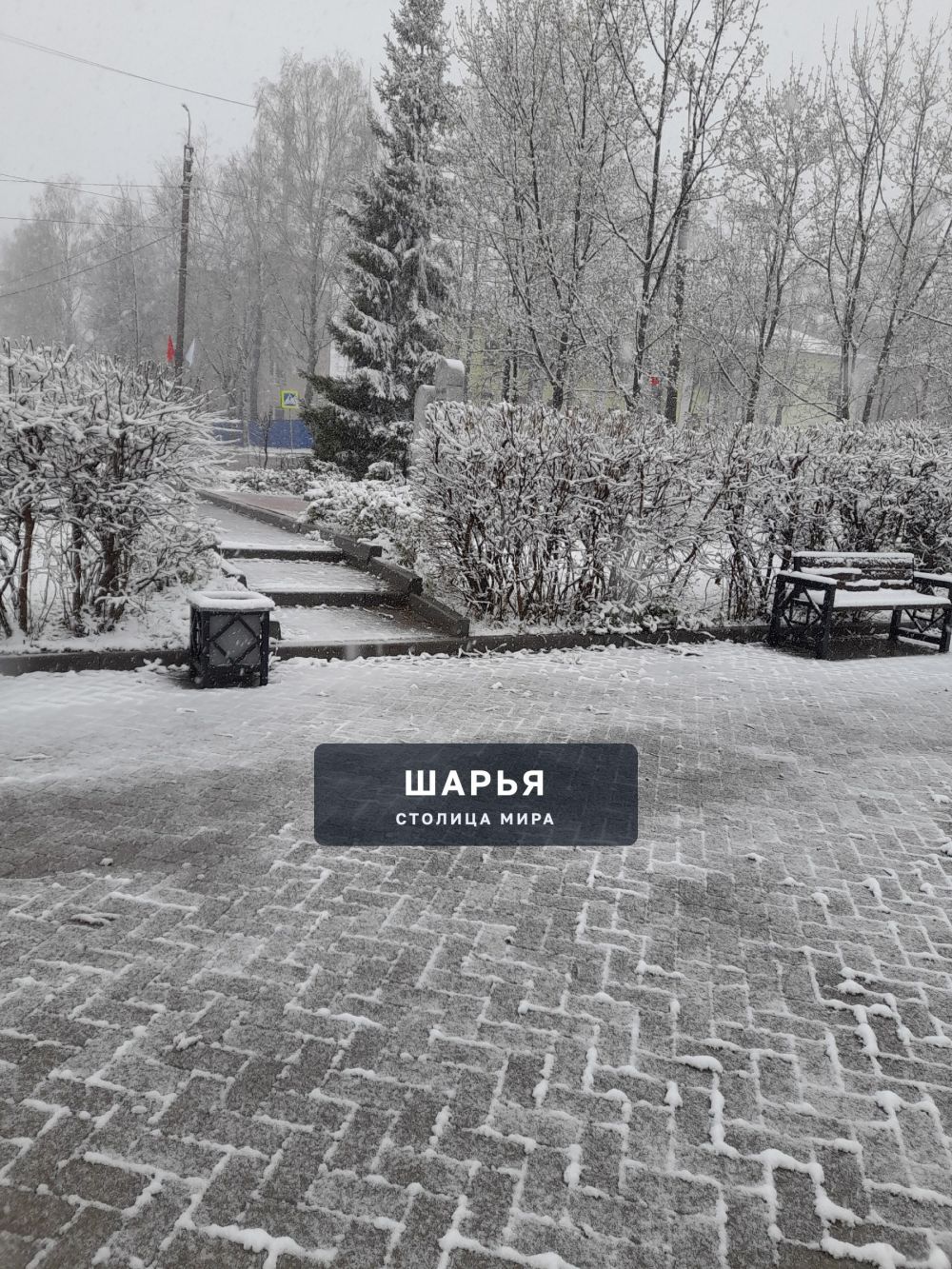 У природы нет плохой погоды — Шарья — фото 4