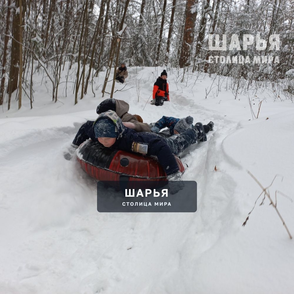 Юные жители Шарьинского района накормили лесных животных — Шарья — фото 4