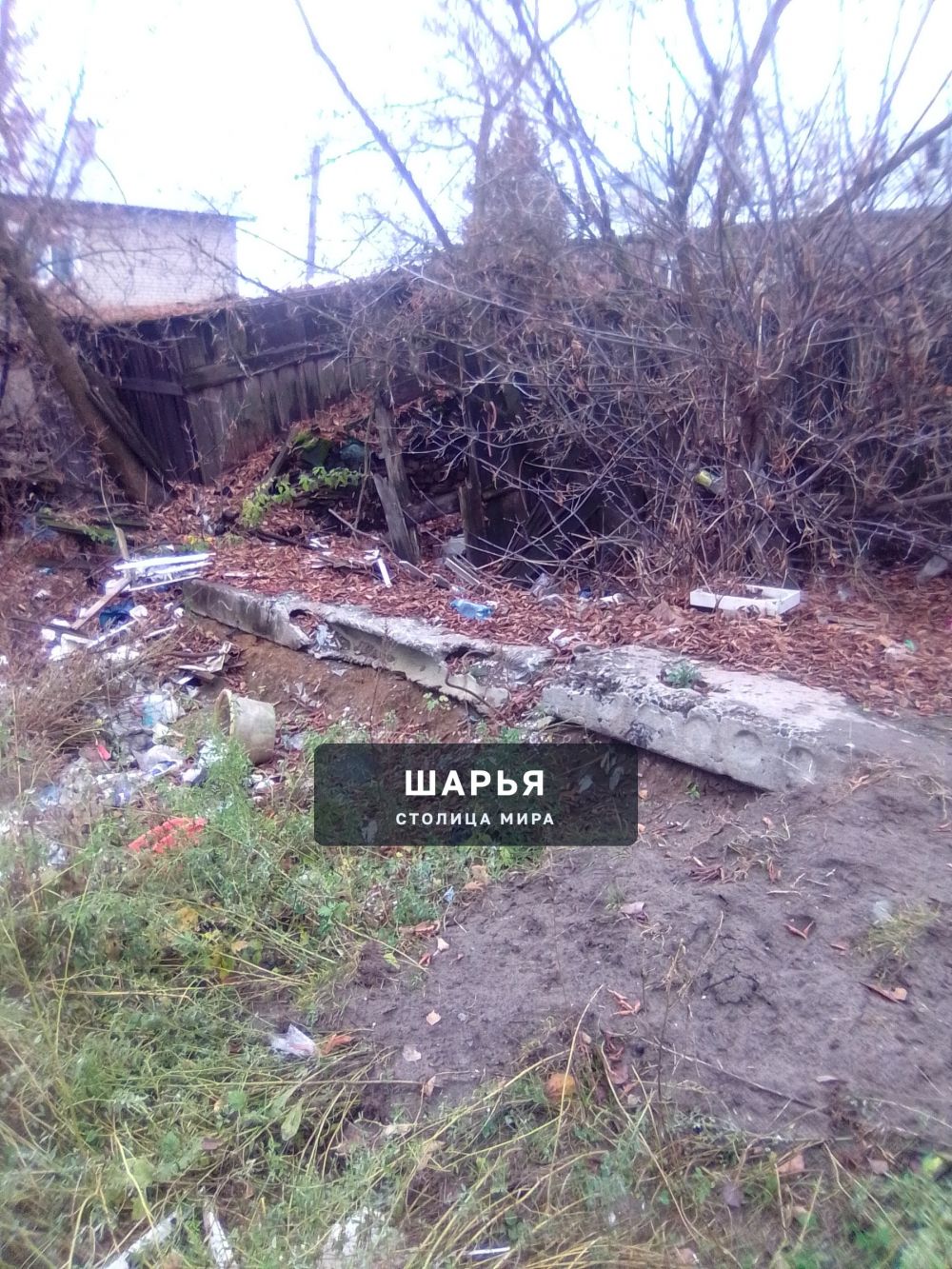 Публикация «Свалка, которой не должно быть» — Шарья — фото 2