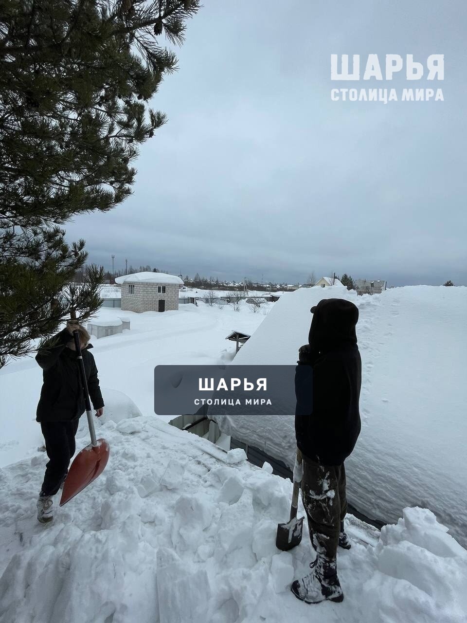 Студенты Шарьинского медицинского колледжа помогают семьям участников СВО — Шарья — фото 6