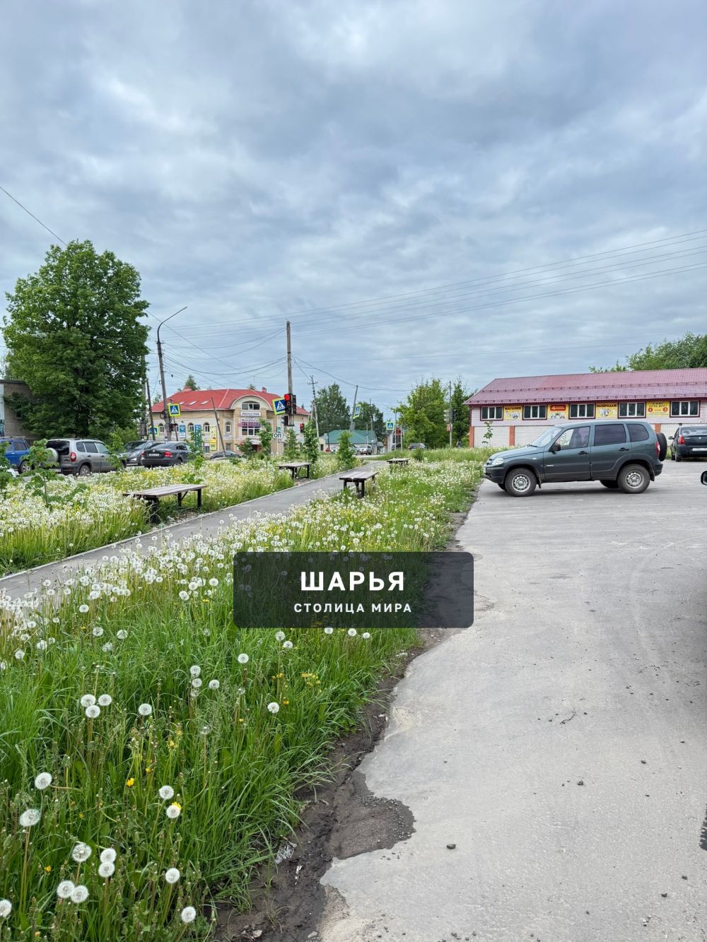 Когда в городе начнут косить? — Шарья — фото 2