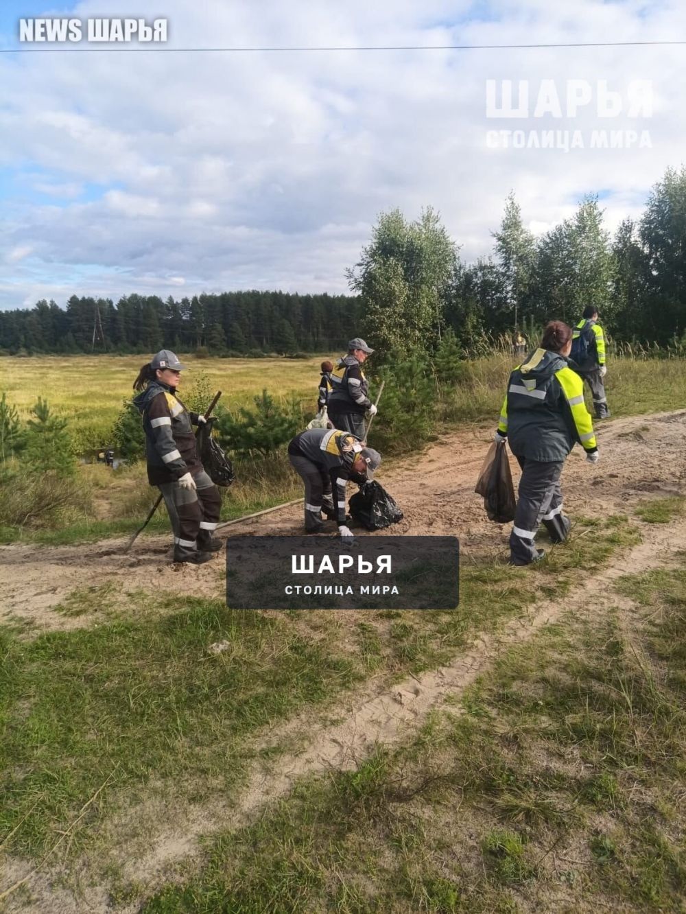 Берег реки Шарьинки очистили от мусора — Шарья — фото 3