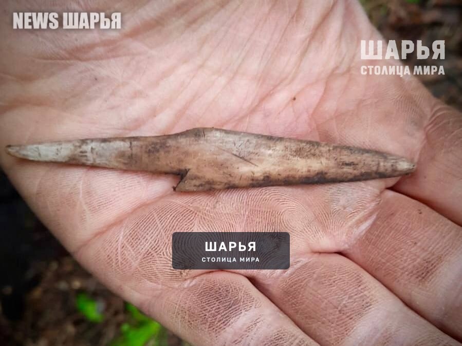 Русское географическое общество играет важную роль в воспитании молодого поколения — Шарья — фото 4