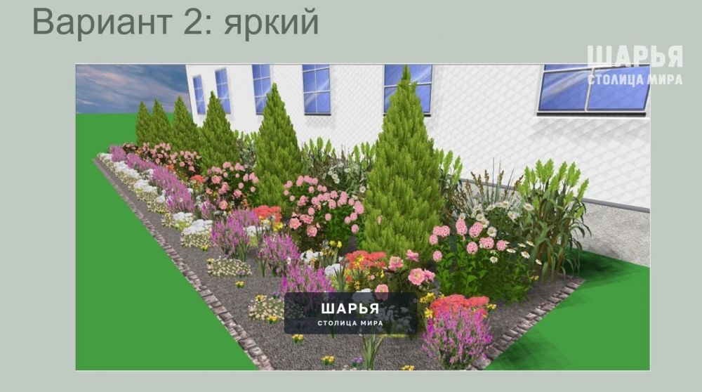 Городская власть предлагает шарьинцам посадить их цветы на общественных клумбах — Шарья — фото 2
