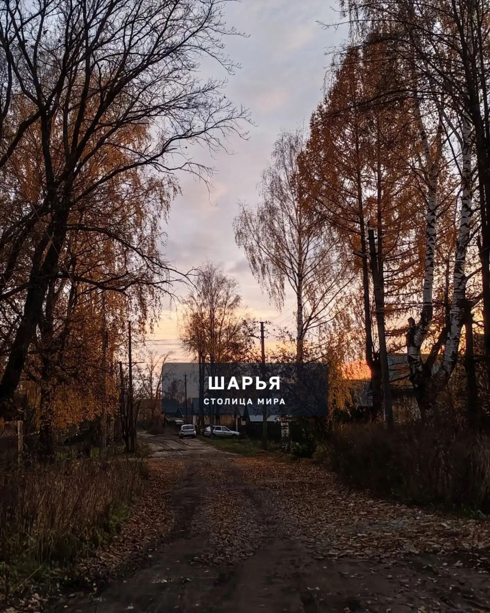 Шарьинцы могут пока отложить зонтики — Шарья