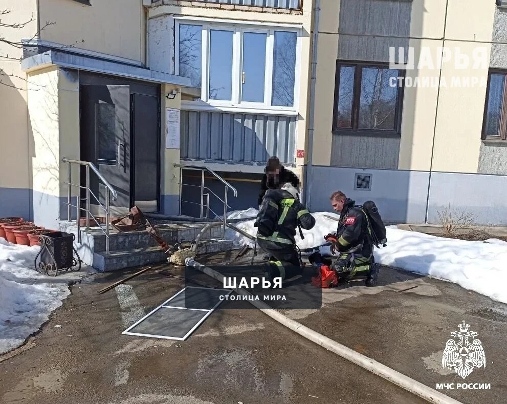 За минувшую неделю при пожарах погиб один человек — Шарья