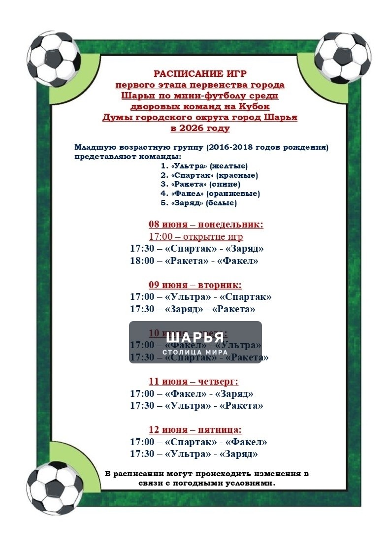 В Шарье стартует Первенство по мини-футболу на Кубок Думы 2026 среди дворовых команд — Шарья — фото 2