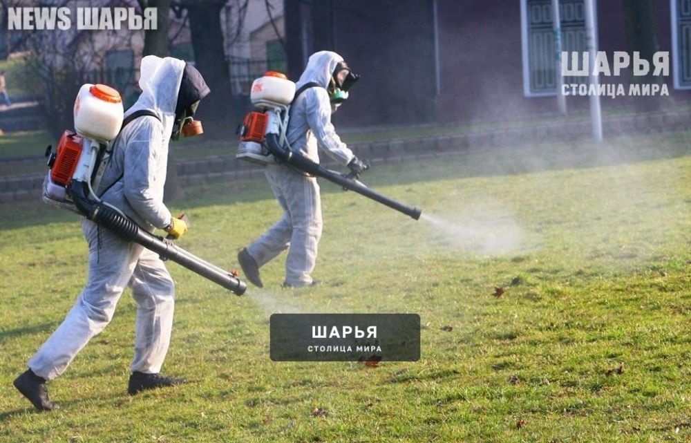 Шарьинским любителям спорта еще день нельзя посещать спортобъекты — Шарья