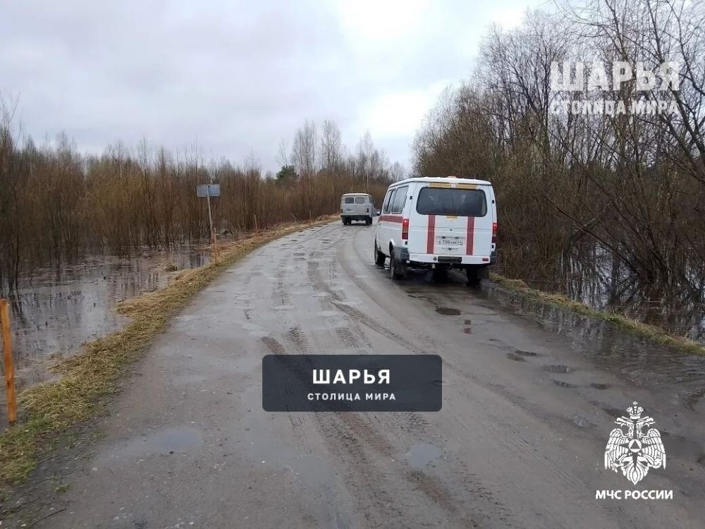 В районе дер. Михалкино подтопило конструктивно-затапливаемый мост — Шарья — фото 2