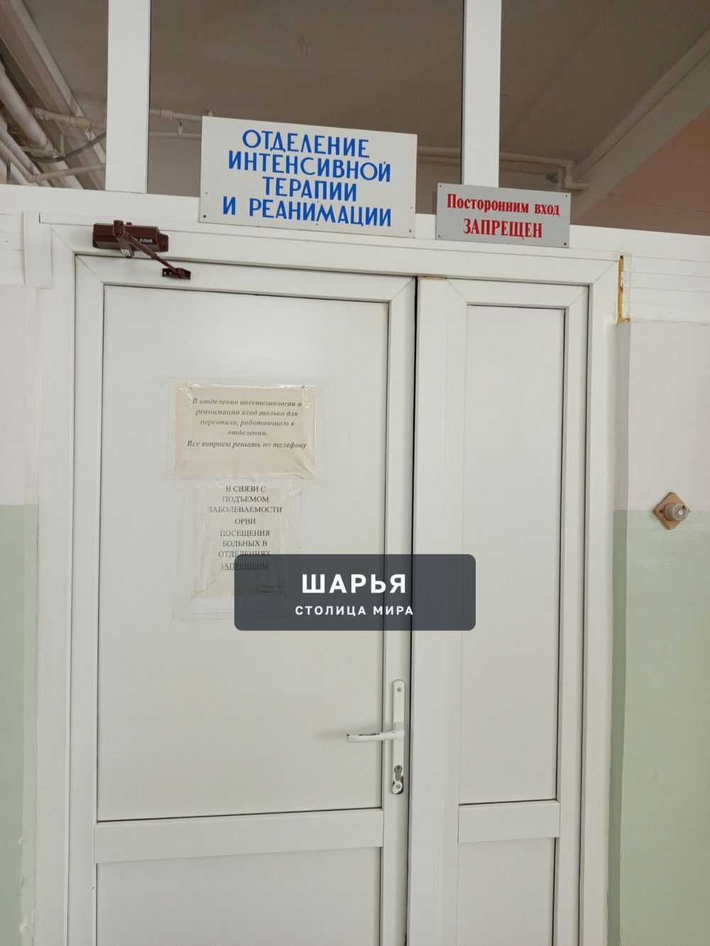 Паллиативная помощь — это комплексная медицинская, социальная и психологическая поддержка… — Шарья