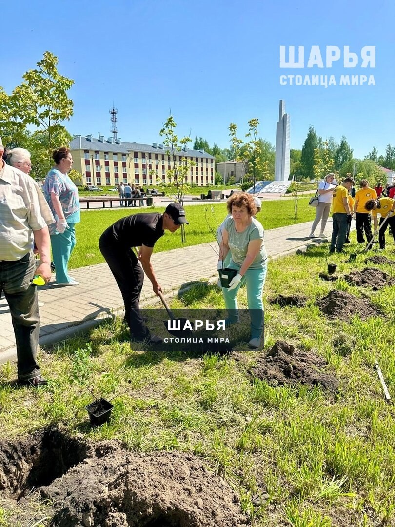 Память сохраняем на века — Шарья — фото 4