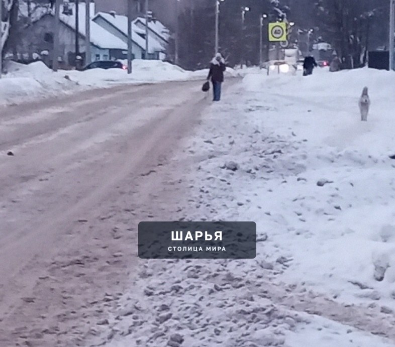 Анонимно. Просим соответствующие службы обратить внимание на участок дороги от школы № 7 в… — Шарья — фото 3