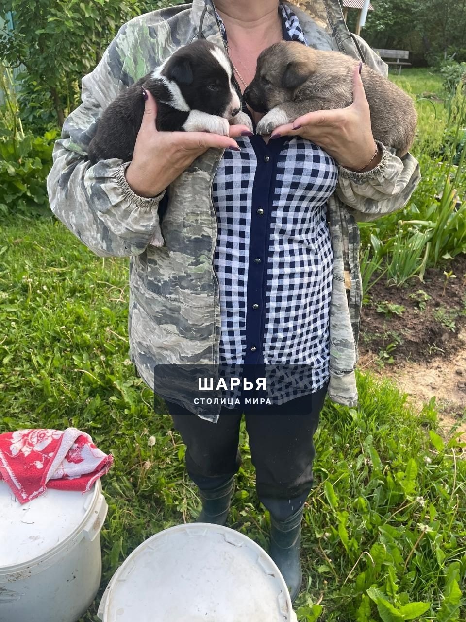 В садах люди обнаружили вот такую находкуБыли ооочень голодные — Шарья
