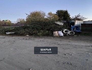 Законодательством запрещено складировать строительный и растительный мусор на контейнерных… — Шарья — фото 2