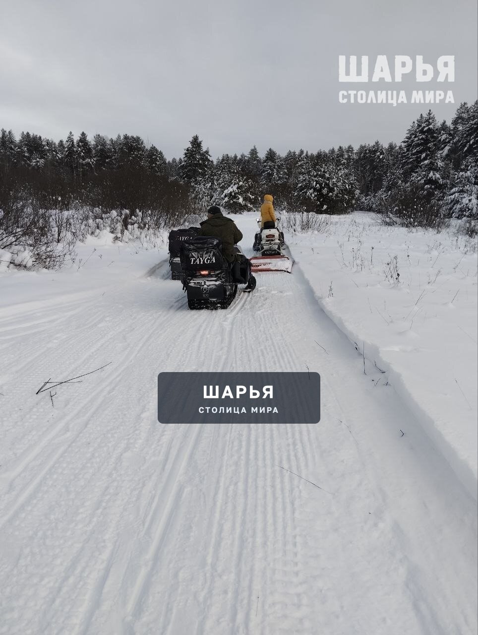Спортивная школа олимпийского резерва Шарьи выражает благодарность Яковенко Владиславу, Попову… — Шарья — фото 5