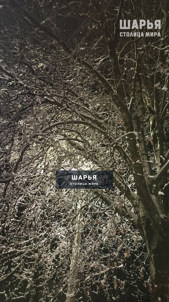 Новость из Шарьи — Шарья — фото 2