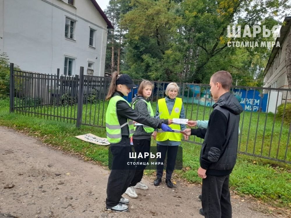 Не отвлекайся, переходя дорогу! — Шарья — фото 4
