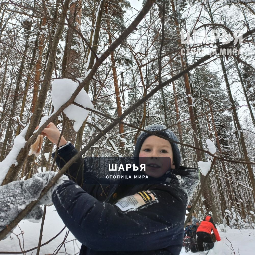 Юные жители Шарьинского района накормили лесных животных — Шарья — фото 7
