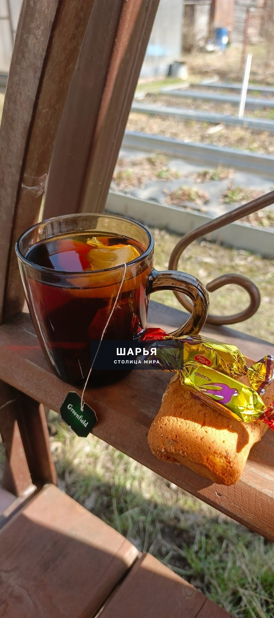 Шарьинцы, давайте начистоту — Шарья — фото 3