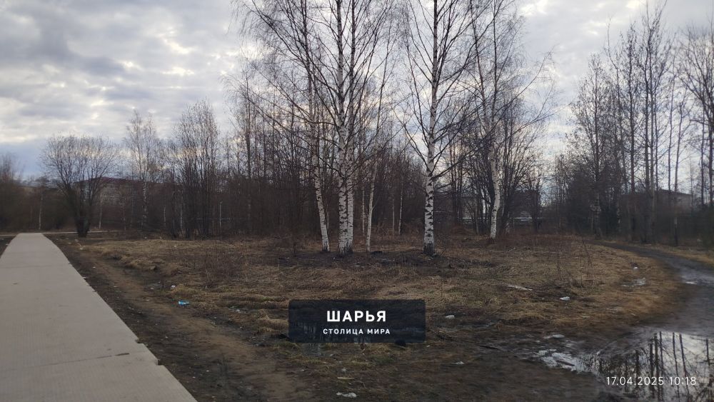 Раньше, когда здесь стояли старые гаражи, все люди "любовались" ими — Шарья — фото 8