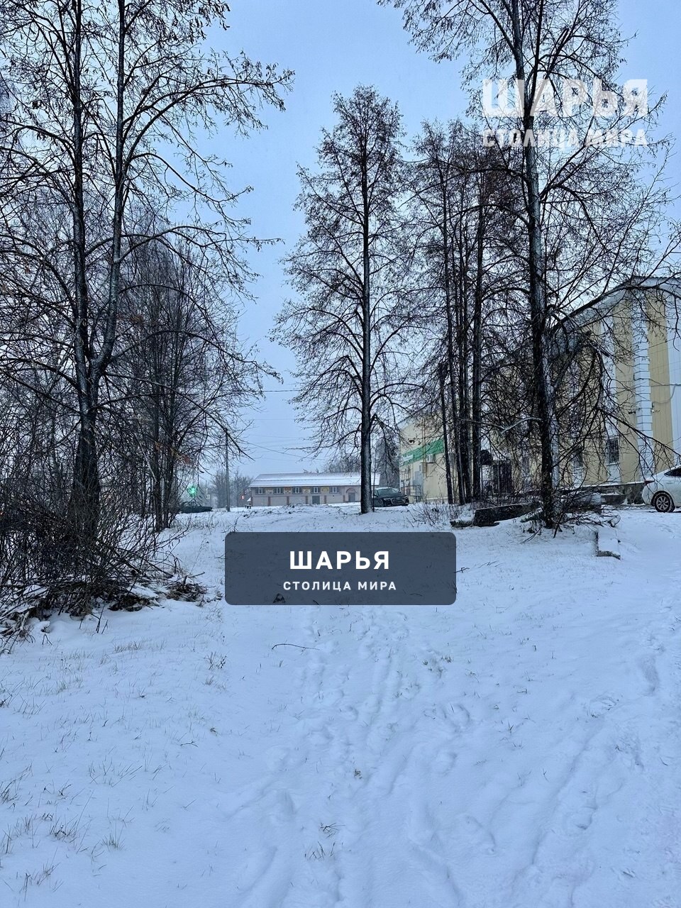 Реализация общественных инициатив в Шарье уже стартовала — Шарья — фото 3