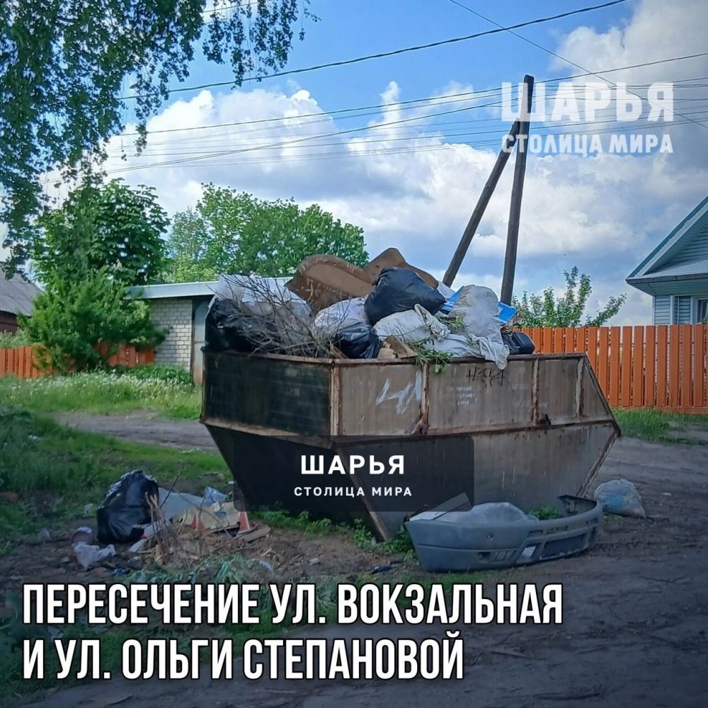 Активные общественники Шарьи ликвидировали проблему мусорных площадок — Шарья — фото 2