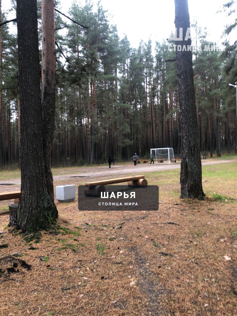 Лыжная база — Шарья — фото 2