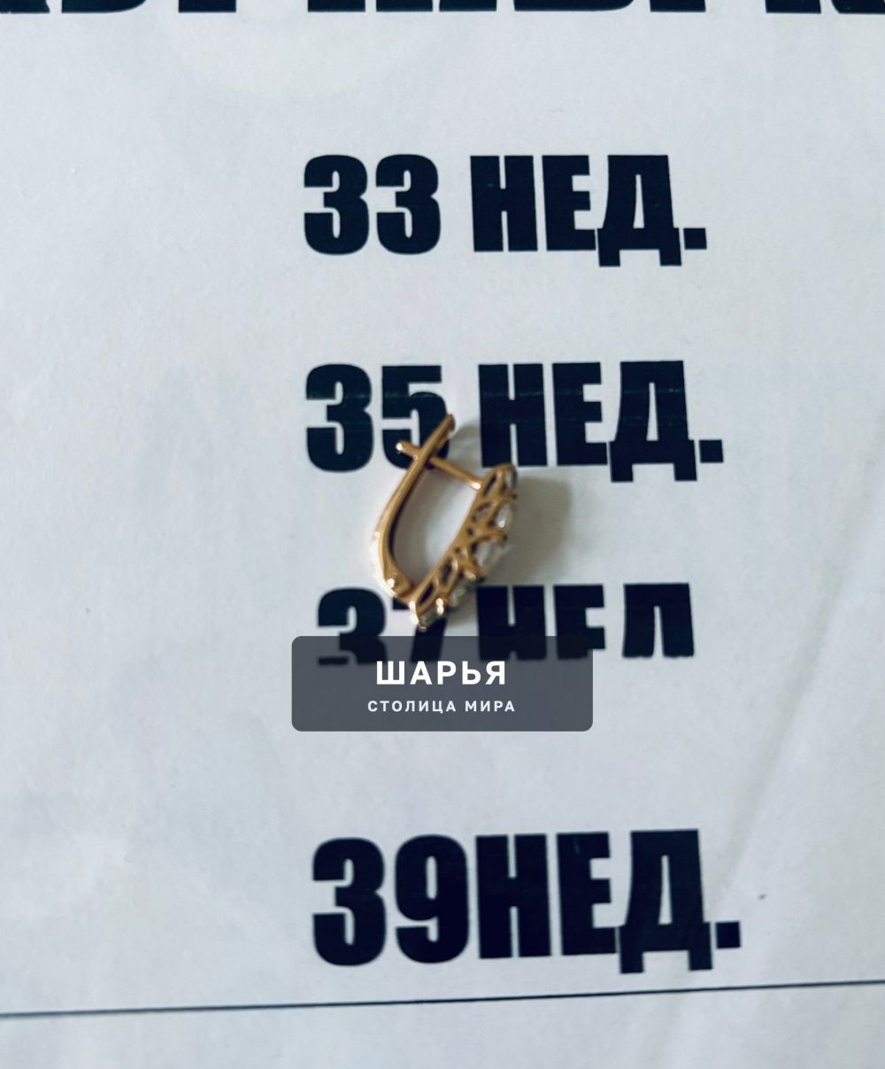 Можно кто-то узнает свои потеряшки — Шарья — фото 2