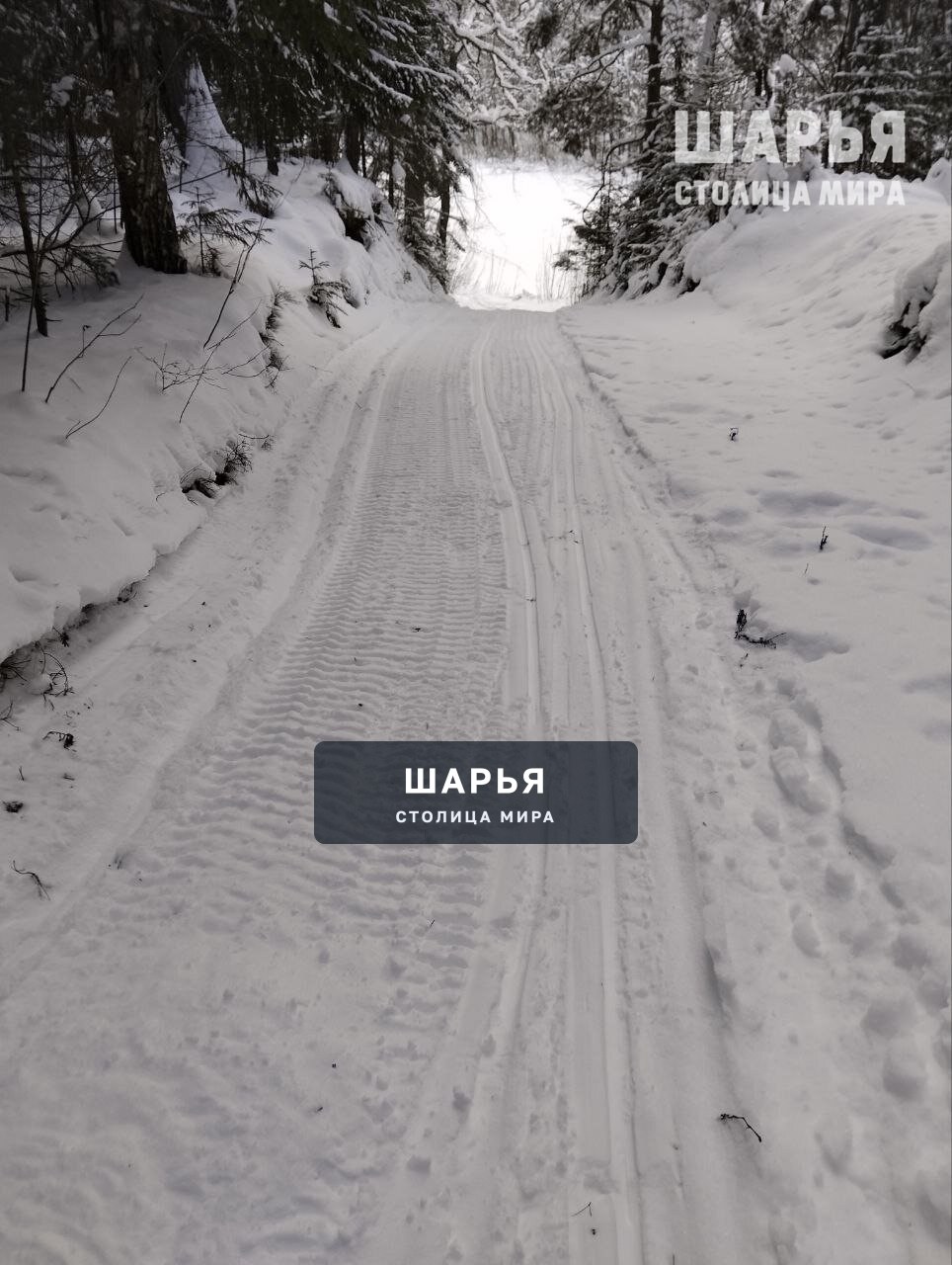Спортивная школа олимпийского резерва Шарьи выражает благодарность Яковенко Владиславу, Попову… — Шарья — фото 2