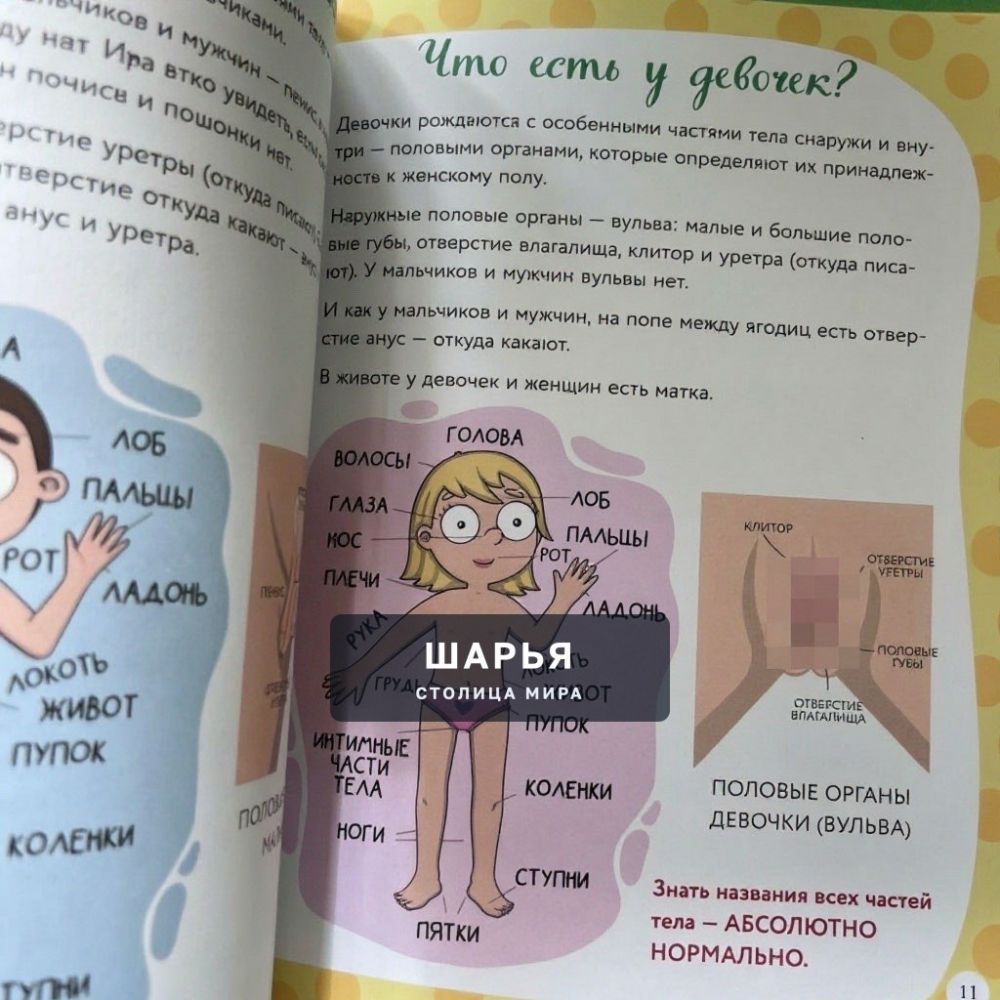 Больше 25 миллионов рублей потратили на половое воспитание детей 3+ в регионах — для… — Шарья