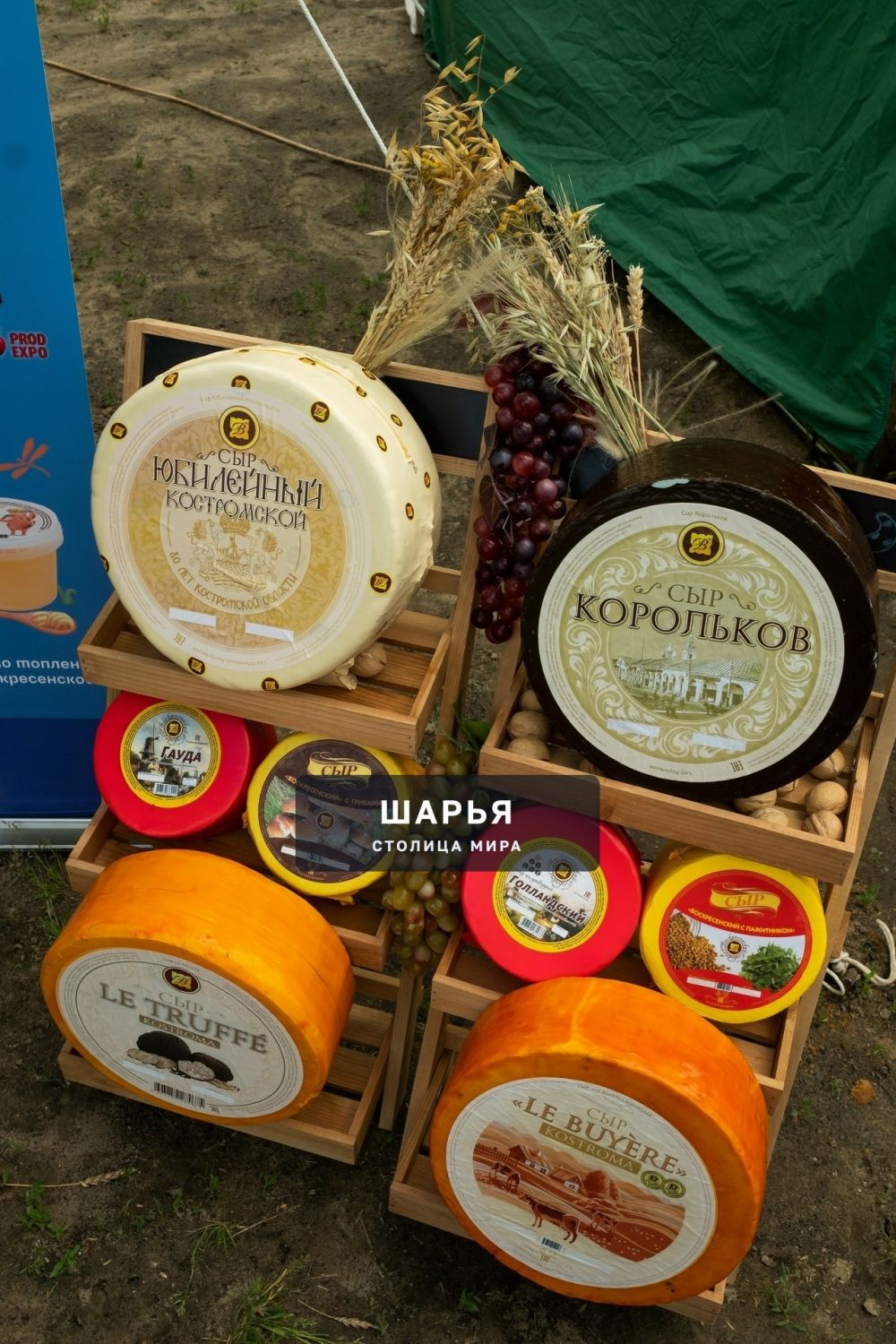 На предстоящей неделе в регионе пройдет День Костромского села — Шарья — фото 5