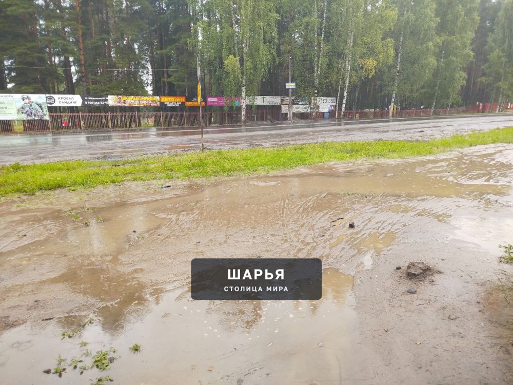 Незаметно подкралась осень и внесла свои коррективы в жизнь города — Шарья — фото 4