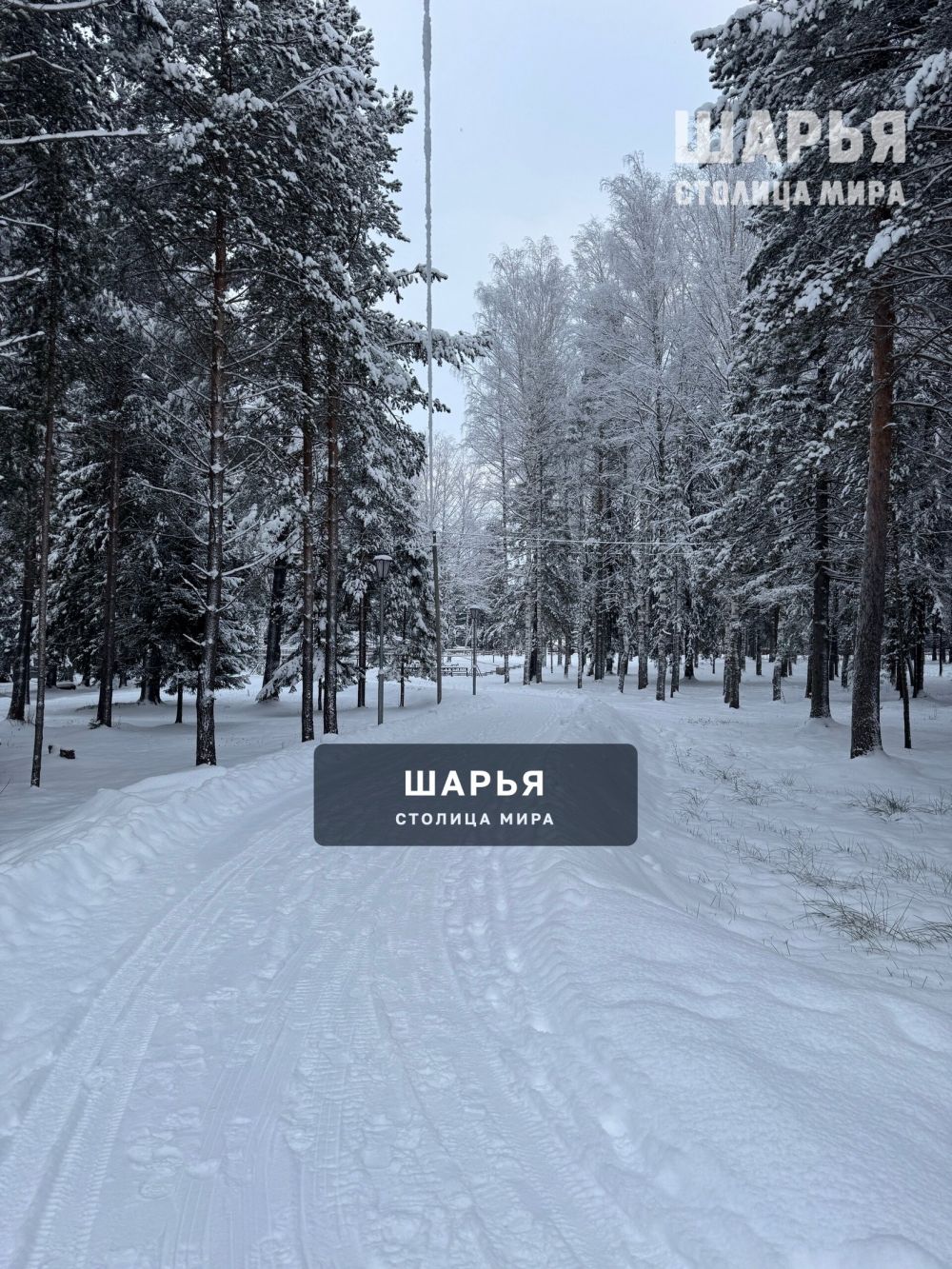 Красота какая в городском парке — Шарья — фото 4