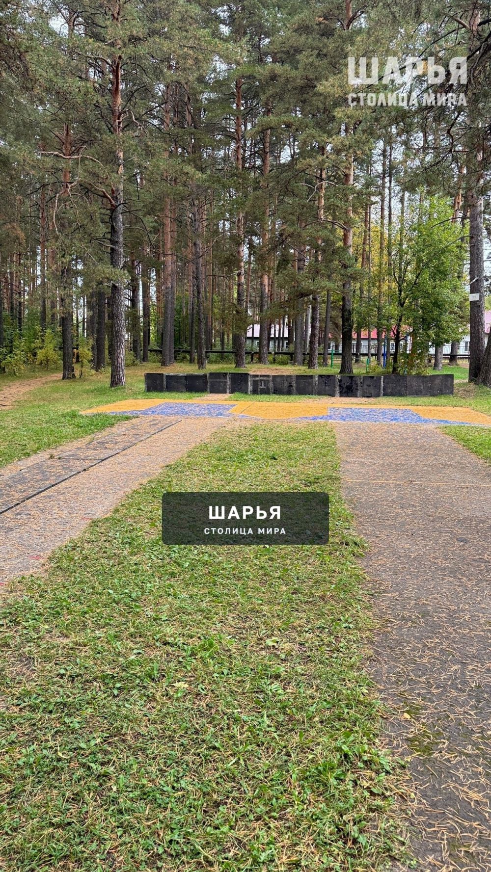П. Ветлужский — Шарья — фото 4