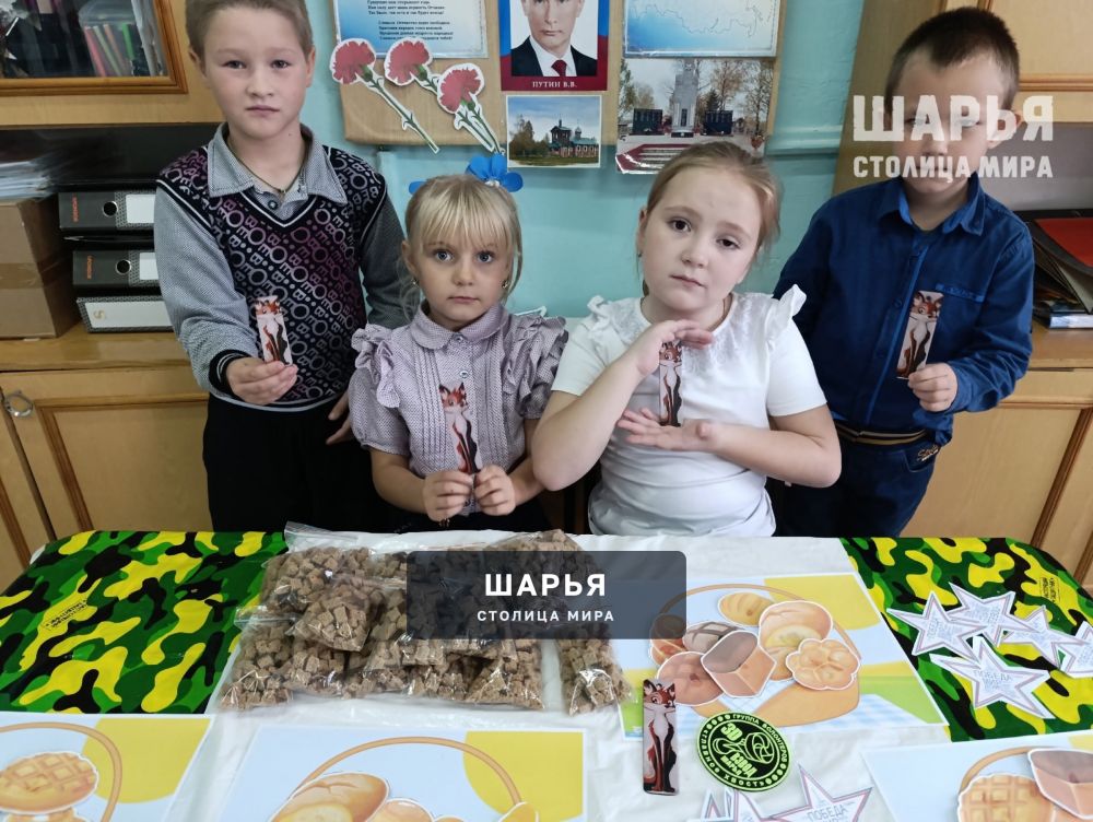 Волонтеры - тыловики Шарьи объединяются во всех делах — Шарья — фото 2
