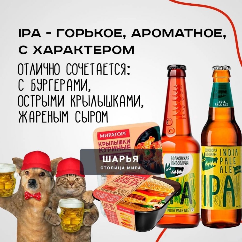 Что лучше есть, когда пьёшь пиво — алкомаркет КБ составил подборку закусок, идеальных под… — Шарья — фото 6